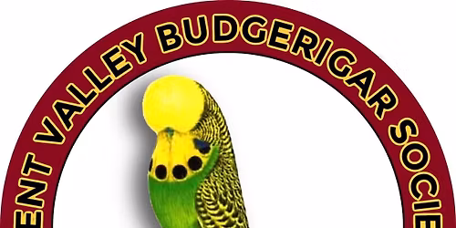 TVBS Platinum Championship Budgerigar Show