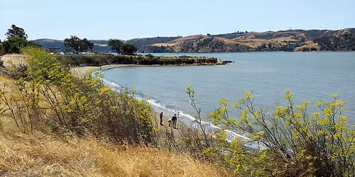 Alvarez Ninth Street Park, Benicia