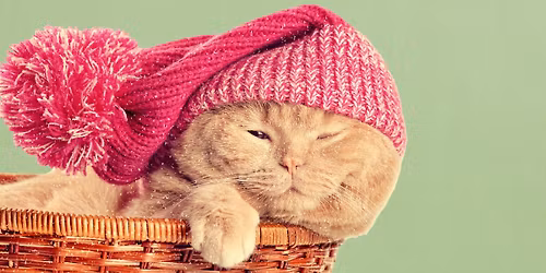 Gr\u00f8nn fredag: Juleverksted