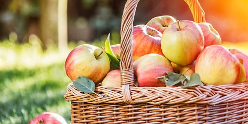 Autumn Harvest Flower Arranging Workshop at Gibside Stables, Newcastle