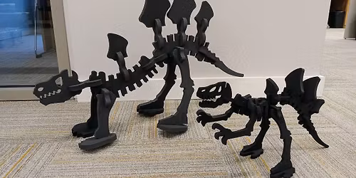 Dinosaur Bones Discovery