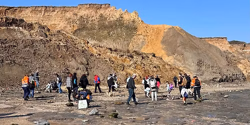 Fossil Hunting Trip Walton on the Naze