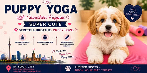Cavachon Puppy Yoga in Toronto