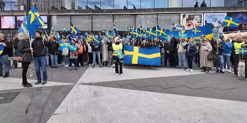 Manifestation \u201dF\u00f6r Sverige\u201d