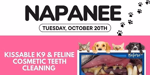 Kissable K9 Dental Clinic \ud83e\uddb7