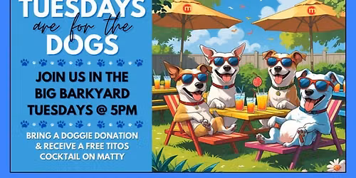 Pups in the Big Barkyard!