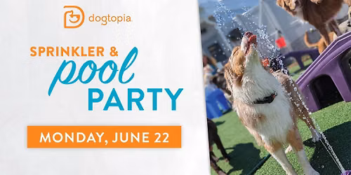 Sprinkler and Pool Party