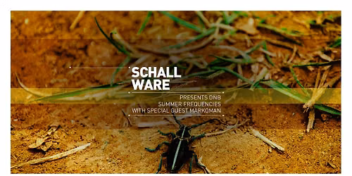 \u2600\ufe0f Schallware Summer Frequencies Vol. 3 ft. MARKOMAN \u2600\ufe0f