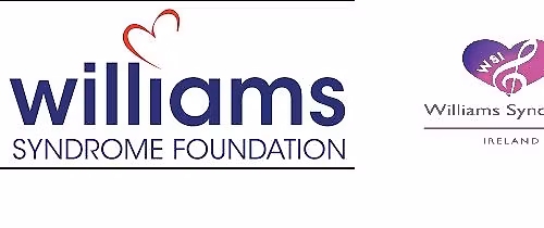 WSF UK WSI Joint Event 