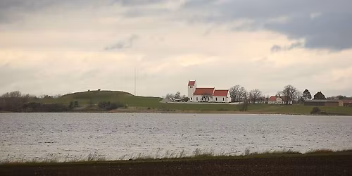 Rundvisning ved T\u00e5rnborg Kirke og ruin