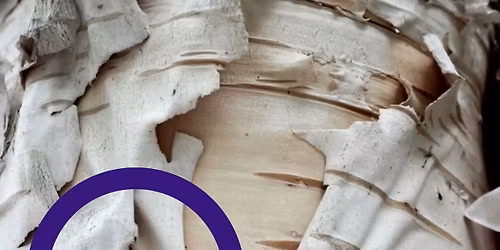 Sortie de r\u00e9sidence - "M\u00b5" de Manon Prapotnich