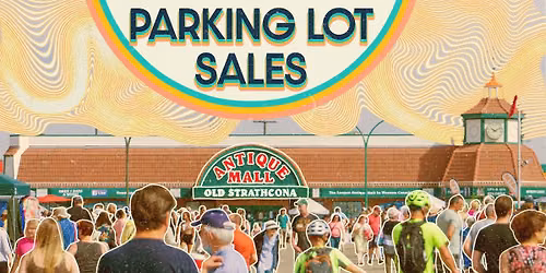 Parking Lot Sale #5