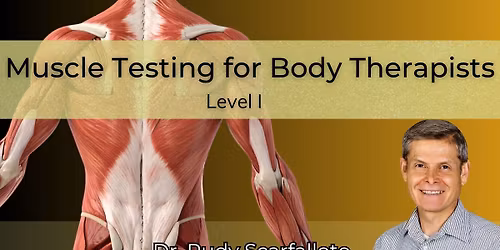 Muscle Testing for Body Therapists - Level 1
