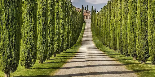 Elite wines of Italy: Tuscans and Super Tuscans