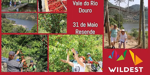 WILDEST \/ Dos Cerejais ao vale do Rio Douro