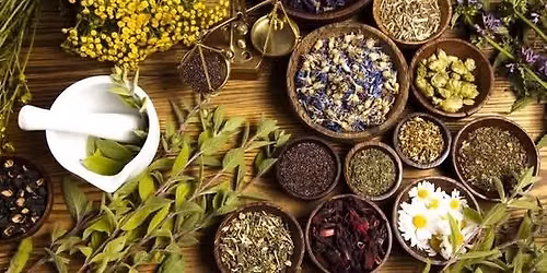 Intro to Herbalism @ AlchemyTX with Special Guest Speaker:Lauren Bridges