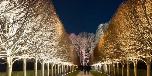 \ud83e\udde1 FLO Presents A Special New Years Eve Night at NightWood at The Mount \ud83e\udde1