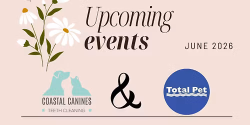 Anesthetic-free Teeth Cleaning - Total Pet Vernon