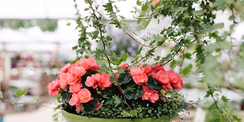 Container Gardens Workshop at Hoen's Garden Center