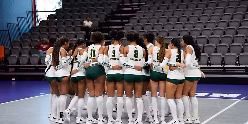 Delaware State Hornets at Hampton Pirates Womens Basketball