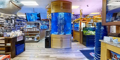 Oak Ridge Christmas Parade