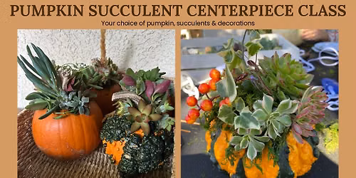 Pumpkin Succulent Centerpiece Class
