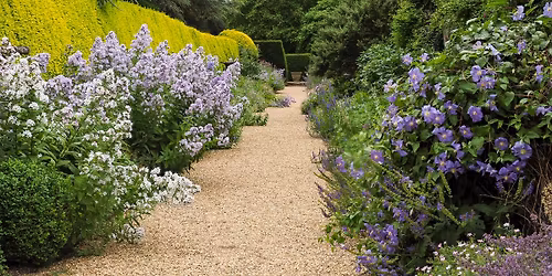 National Garden Scheme Open Day
