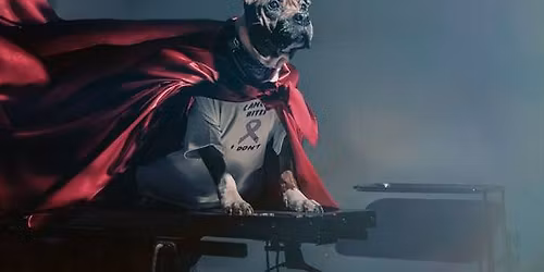 Trivia Night for the Animals!!