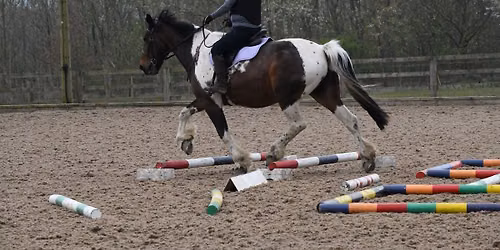 Ashley Suddes Pole work and Cavaletti clinic