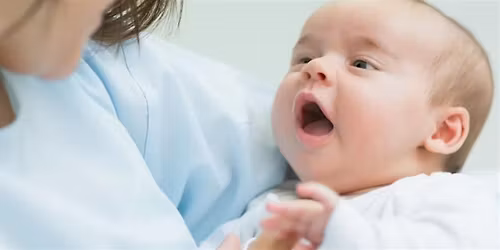 Baby Sign Language Basics