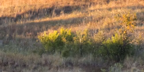 Sitka Dallas \/ RMEF