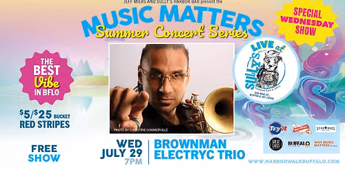 BROWNMAN ELECTRYC TRIO | Music Matters Summer Concert Series