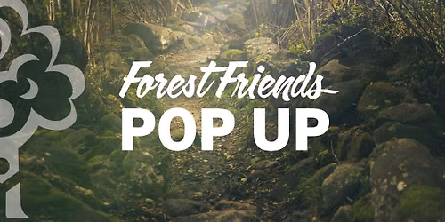 Forest Friends Pop-Up