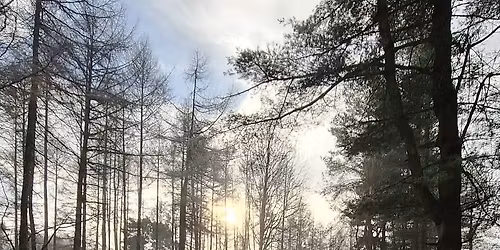 Walk Beyond Recovery - DELAMERE FOREST, CHESHIRE