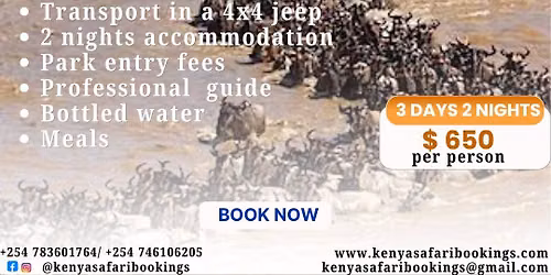 The Great Wildebeest Migration, July- October 2026