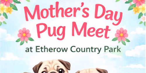 Mothers Day Pug Meet .