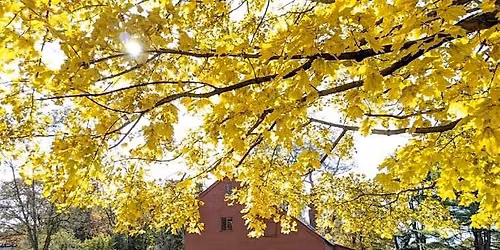 Visit the Homestead of Salem Witch Trials Victim Rebecca Nurse-Danvers