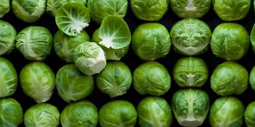 Marsh Gibbon Christmas Farmers Market