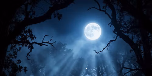 \u2728VOLBRI\u00d6\u00d6 TANTSU\u00d6\u00d6\u2728