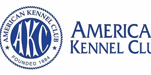 AKC Internaional Sweepstakes Championships