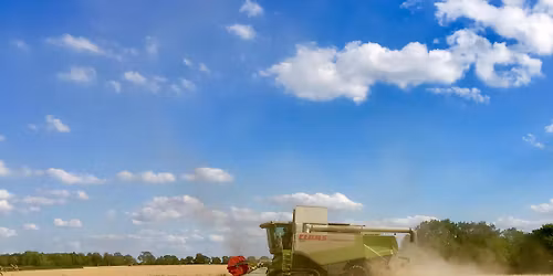 Bucknall Scarecrow event 