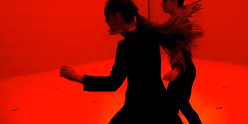 WONDERLAND  \/  Sylvain Huc