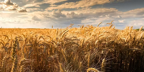 Good Grain Creative Roadshow | Franklin Tennessee