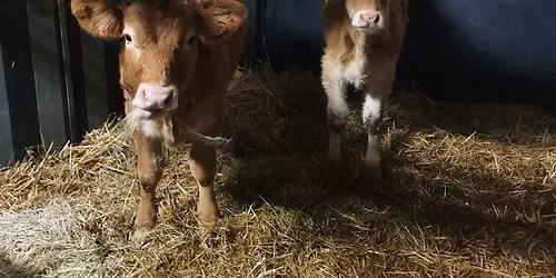 Vleespakket van bij de boer.