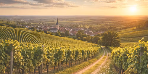 Nieder-Olmer Weinwiesentreff - ER\u00d6FFNUNG 2026