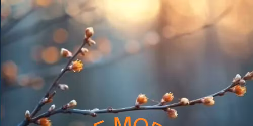 Caf\u00e9 Mortel - Espace de paroles 