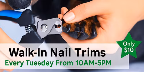 \ud83d\udc3e Toenail Tuesday with Ashley! \ud83d\udc3e