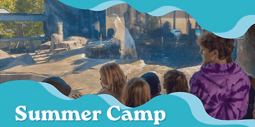 Summer Camps