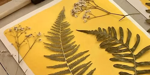 GOLDEN : A Sunprint + Tea Ritual