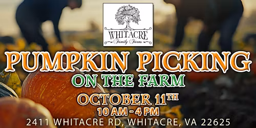 🎃 Pumpkin Picking on the Farm! 🍂